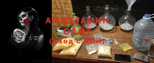 индика Абинск