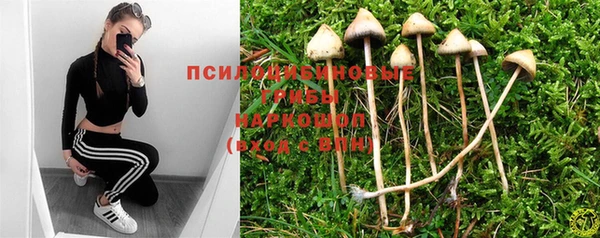 трава Алексин